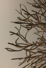 Sierra Family_004.jpg